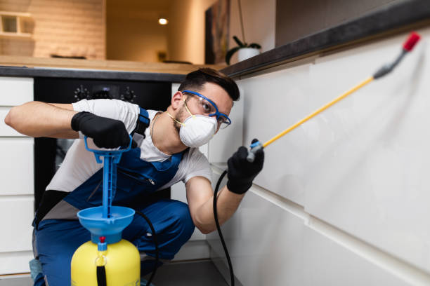 Best Mosquito Control Services  in Gibson City, IL