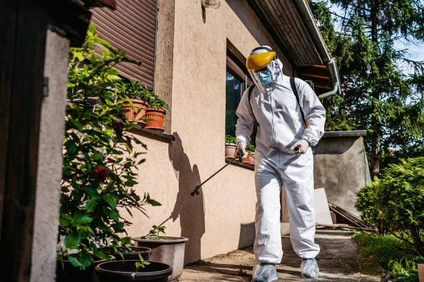 Reliable Gibson City, IL Pest Control Solutions