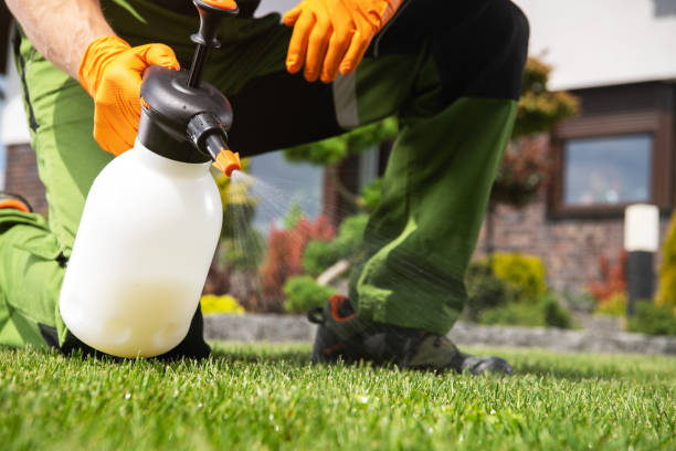 Best Spider Control Near Me  in Gibson City, IL