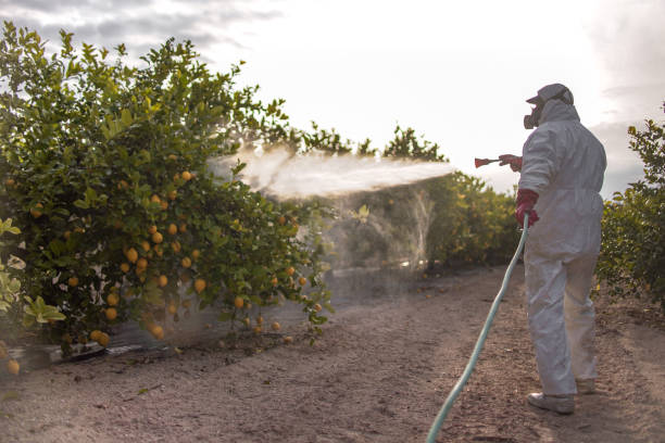 Best Rat Extermination Near Me  in Gibson City, IL