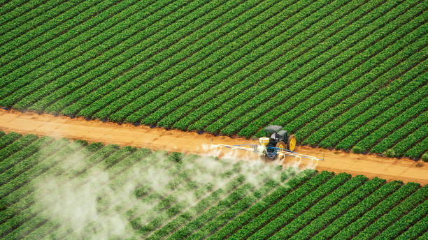 Professional Pest Control in Gibson City, IL