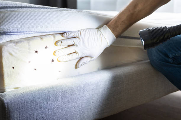 Best Best Pest Control Companies  in Gibson City, IL
